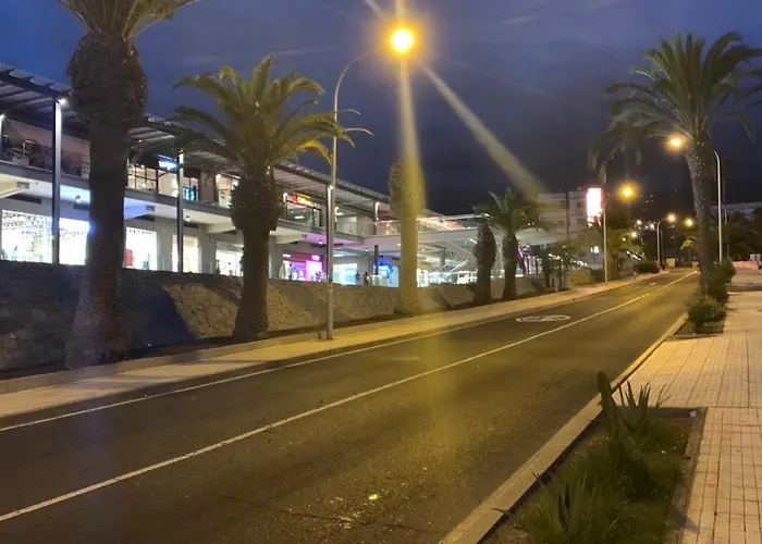 Marina Palace Playa Paraiso * Адехе